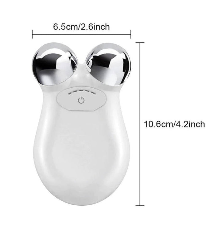 Camille Boutique - Facial Massager