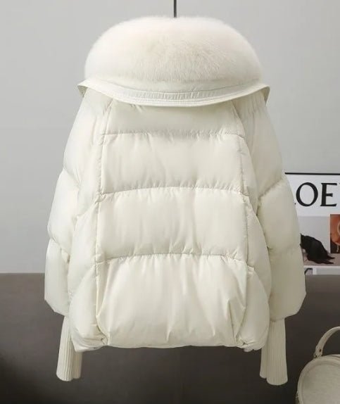 Camille Boutique - Women's Jackets