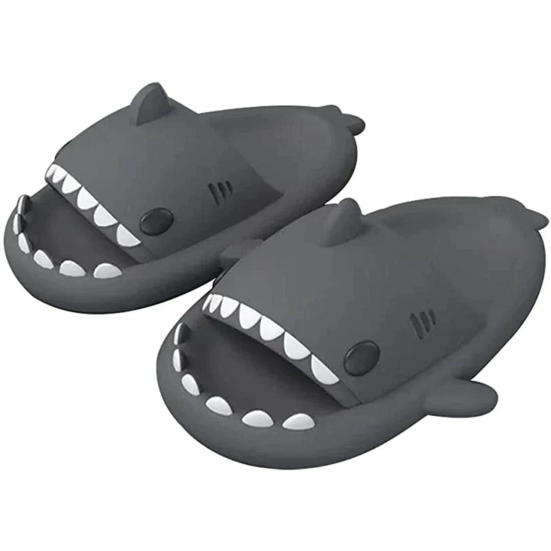 Diapositives de requins - Camille Boutique