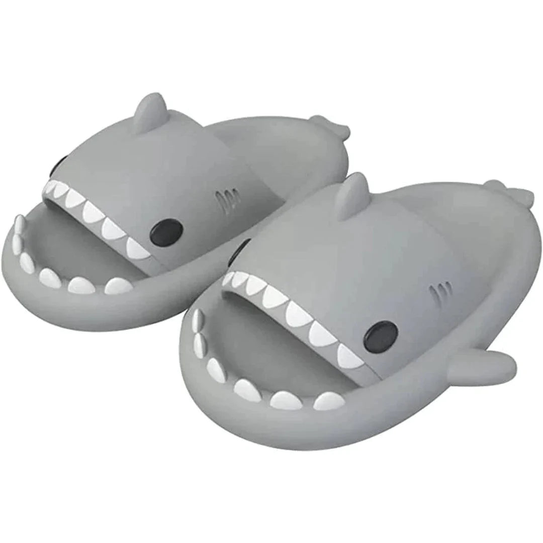 Diapositives de requins - Camille Boutique