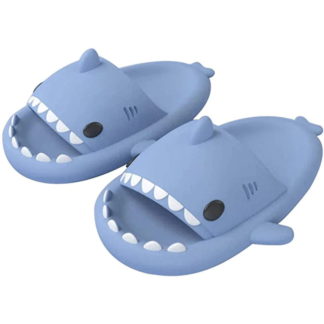 Diapositives de requins - Camille Boutique